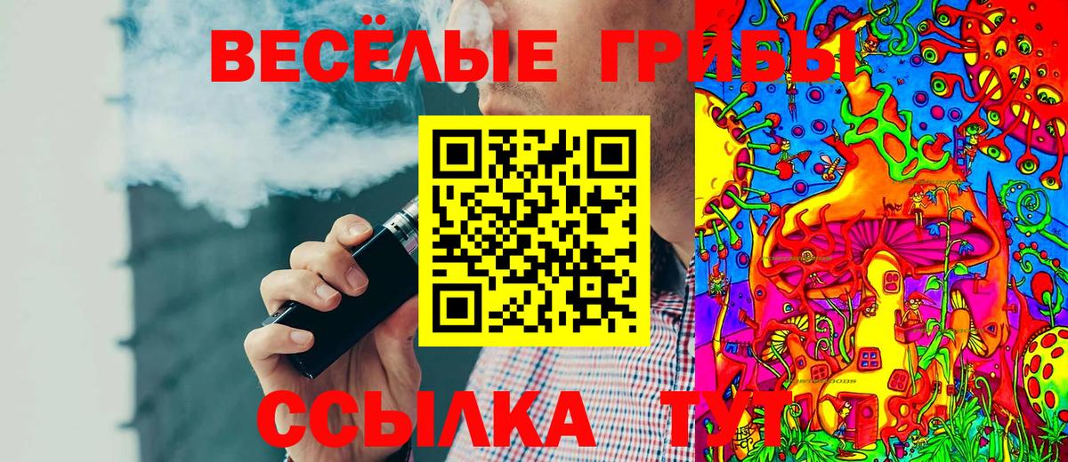 Псилоцибиновые грибы прущие грибы  Вход с VPN  купить   Пушкино 